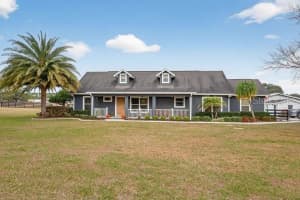 399 SE HIGHWAY 42, SUMMERFIELD, FL 34491 - MLS#MFROM716902