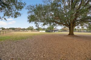 399 SE HIGHWAY 42, SUMMERFIELD, FL 34491 - MLS#MFROM716902