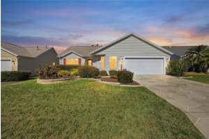 1919 TREADWELL TERRACE, THE VILLAGES, FL 32162 - MLS#MFROM716904