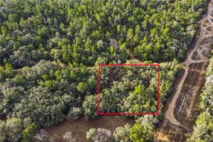 115 CRESTVIEW AVENUE, INVERNESS, FL 34452 - MLS#MFROM716923