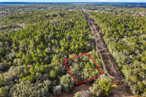 115 CRESTVIEW AVENUE, INVERNESS, FL 34452 - MLS#MFROM716923