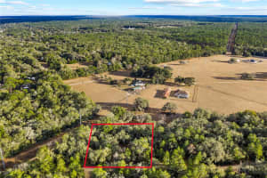 115 CRESTVIEW AVENUE, INVERNESS, FL 34452 - MLS#MFROM716923