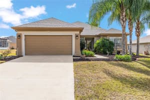 13608 87TH CIRCLE, SUMMERFIELD, FL 34491 - MLS#MFROM716935