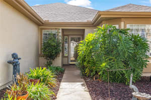 13608 87TH CIRCLE, SUMMERFIELD, FL 34491 - MLS#MFROM716935