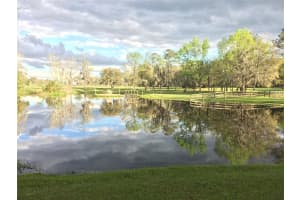 15000 W HWY 318, WILLISTON, FL 32696 - MLS#MFROM716965