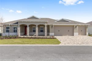 8425 101ST AVENUE, OCALA, FL 34481 - MLS#MFROM716969