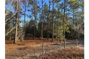 22851 NEPTUNE BOULEVARD, DUNNELLON, FL 34431 - MLS#MFROM716982