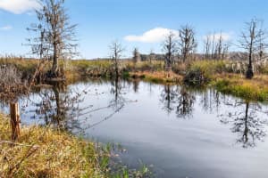 8989 GREAT OAKS DRIVE, FLORAL CITY, FL 34436 - MLS#MFROM716983