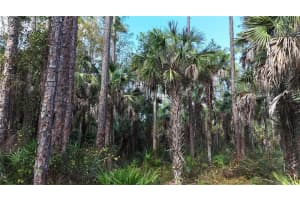 16TH AVE SE, NAPLES, FL 34117 - MLS#MFROM717000