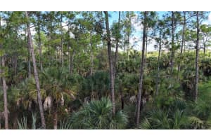 16TH AVE SE, NAPLES, FL 34117 - MLS#MFROM717000