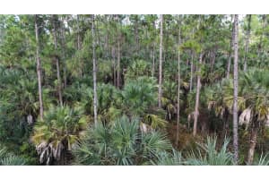 16TH AVE SE, NAPLES, FL 34117 - MLS#MFROM717000