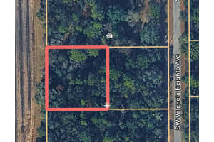 0000 VALENCIA HEIGHTS AVENUE, DUNNELLON, FL 34431 - MLS#MFROM717022
