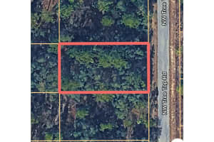 0000 TREETOP ROAD, DUNNELLON, FL 34431 - MLS#MFROM717030