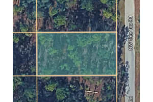 0000 TREETOP ROAD, DUNNELLON, FL 34431 - MLS#MFROM717035