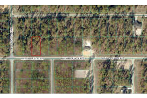 NW AMBERJACK AVE, DUNNELLON, FL 34431 - MLS#MFROM717044