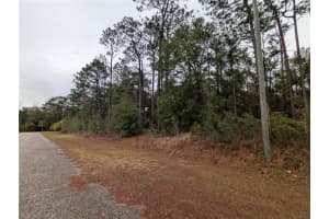 2737 BLINK DRIVE, CITRUS SPRINGS, FL 34434 - MLS#MFROM717054