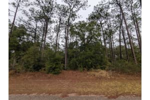 2737 BLINK DRIVE, CITRUS SPRINGS, FL 34434 - MLS#MFROM717054