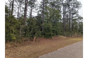 2737 BLINK DRIVE, CITRUS SPRINGS, FL 34434 - MLS#MFROM717054