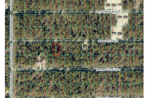 NW BANYAN LN, DUNNELLON, FL 34431 - MLS#MFROM717058