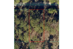 24394 WATER OAK AVENUE, DUNNELLON, FL 34431 - MLS#MFROM717062