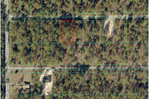 24394 WATER OAK AVENUE, DUNNELLON, FL 34431 - MLS#MFROM717062