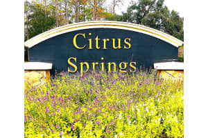 3637 WILHELM STREET, CITRUS SPRINGS, FL 34433 - MLS#MFROM717066