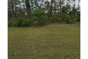 13479 CHAMBERLAIN BOULEVARD, PORT CHARLOTTE, FL 33953 - MLS#MFROM717073