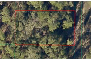 SW 154 TER, OCALA, FL 34481 - MLS#MFROM717080