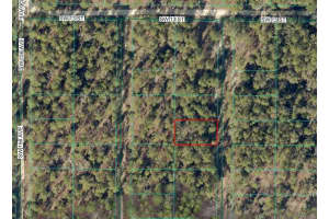 SW 154 TER, OCALA, FL 34481 - MLS#MFROM717080