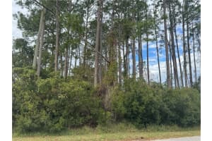 13 LINCOLN LANE, PALM COAST, FL 32137 - MLS#MFROM717136