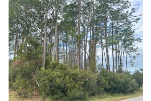 13 LINCOLN LANE, PALM COAST, FL 32137 - MLS#MFROM717136