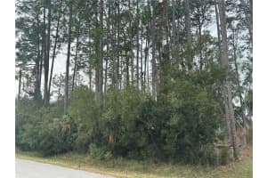 13 LINCOLN LANE, PALM COAST, FL 32137 - MLS#MFROM717136