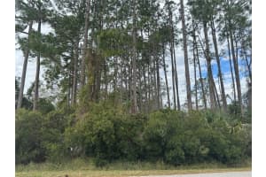 13 LINCOLN LANE, PALM COAST, FL 32137 - MLS#MFROM717136