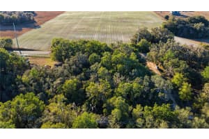 SW 139TH CT, DUNNELLON, FL 34432 - MLS#MFROM717151