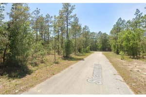 00 SHAMROCK AVENUE, DUNNELLON, FL 34431 - MLS#MFROM717152