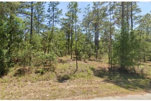00 SHAMROCK AVENUE, DUNNELLON, FL 34431 - MLS#MFROM717152