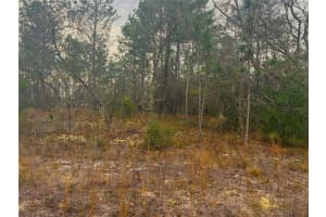 TBD SW 78, DUNNELLON, FL 34432 Sold 02/23/26