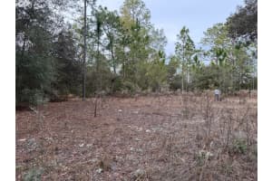 TBD AUDUBON AVENUE, DUNNELLON, FL 34431 - MLS#MFROM717249
