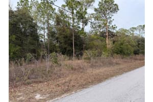 TBD AUDUBON AVENUE, DUNNELLON, FL 34431 - MLS#MFROM717249