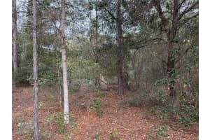 TBD AUDUBON AVENUE, DUNNELLON, FL 34431 - MLS#MFROM717249