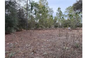 TBD AUDUBON AVENUE, DUNNELLON, FL 34431 - MLS#MFROM717249