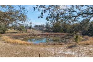 6 MALAUKA CIRCLE, OCKLAWAHA, FL 32179 - MLS#MFROM717263