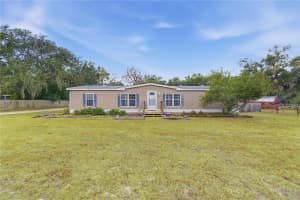 14620 95TH AVENUE, SUMMERFIELD, FL 34491 - MLS#MFROM717265