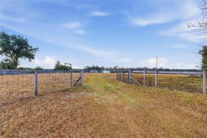 9900 SUNSET HARBOR ROAD, SUMMERFIELD, FL 34491 - MLS#MFROM717282