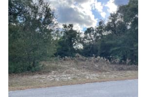 3798 TULIPWOOD LANE, HERNANDO, FL 34442 - MLS#MFROM717292