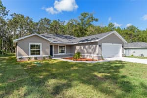 3155 RANDOLPH LANE, CITRUS SPRINGS, FL 34433 - MLS#MFROM717328