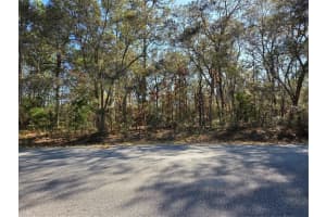 3686 PARKVIEW DRIVE, DUNNELLON, FL 34433 - MLS#MFROM717373