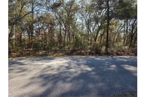 3686 PARKVIEW DRIVE, DUNNELLON, FL 34433 - MLS#MFROM717373