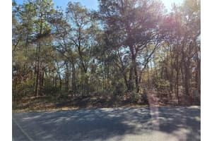 3686 PARKVIEW DRIVE, DUNNELLON, FL 34433 - MLS#MFROM717373