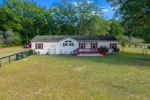 13181 39TH TERRACE, ANTHONY, FL 32617 - MLS#MFROM717418